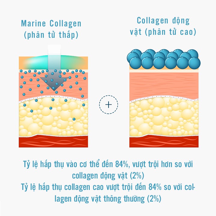 TINH CHẤT CÔ ĐẶC CẤP NƯỚC VÀ BỐ SUNG COLLAGEN 100% HÀN QUỐC_STEM SMITH WATER GLUE 8 LAYER HYALURON AMPOULE