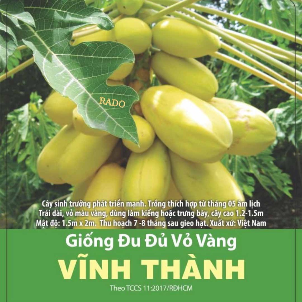 Hạt giống đu đủ vỏ vàng Vĩnh Tường nổi tiếng thơm ngon năng suất cao gói 5 hạt