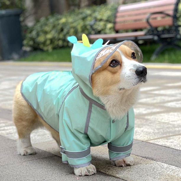 Áo Mưa Hai Lớp Kích Thước Nhỏ Vừa Chống Thấm Nước Hình Chú Chó Corgi Shiba Inu Hiromi