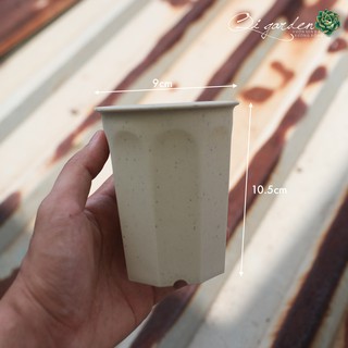 Chậu nhựa giả sứ dáng cao size 9cm