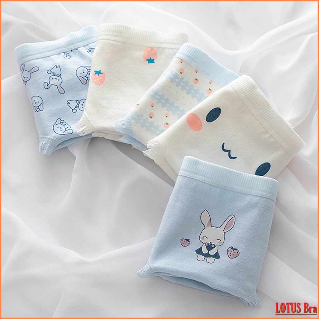 Set 5 quần lót nữ sinh cotton NuciFera chất mềm mịn hình Thỏ xinh mặc mát thấm hút mồ hôi