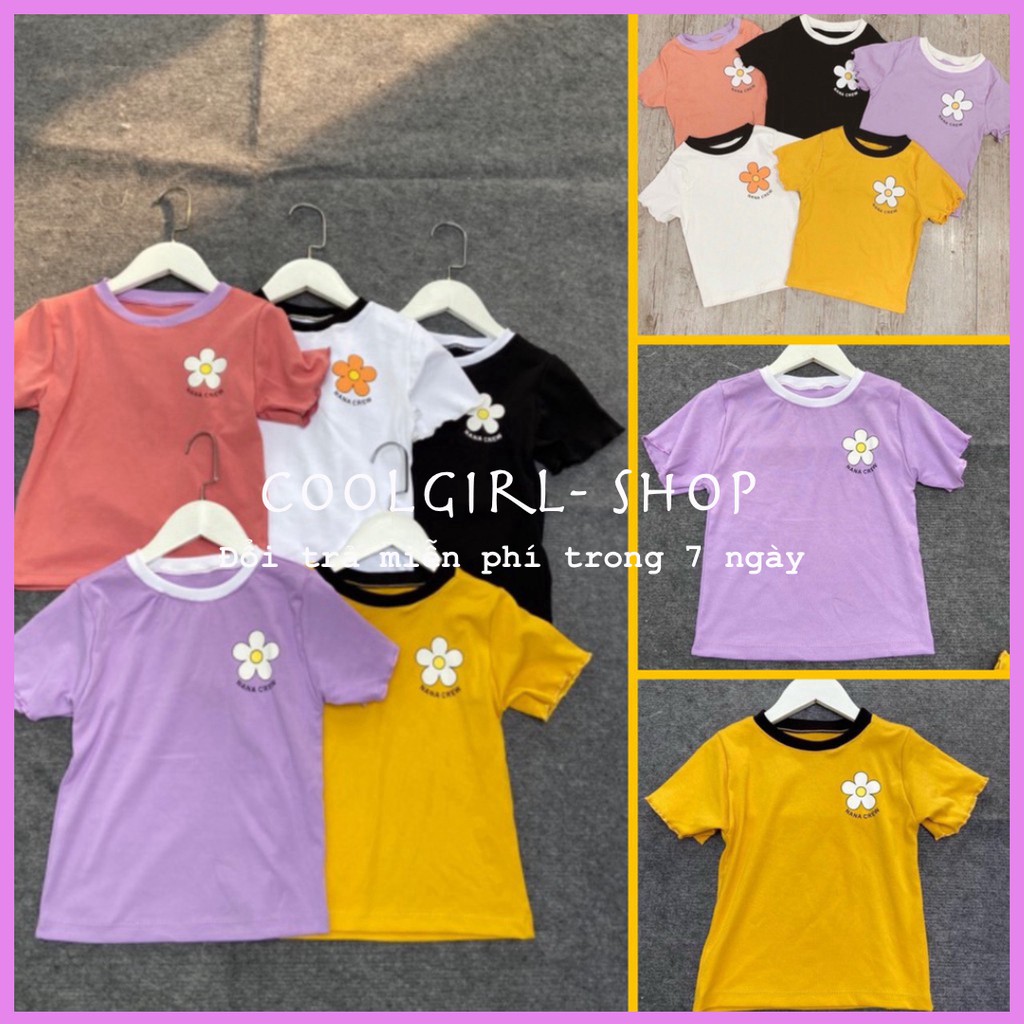 ÁO CROPTOP IN HOA | BigBuy360 - bigbuy360.vn