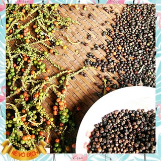Hạt tiêu Khô MOONFARM  Thơm Chuẩn Chất Lượng