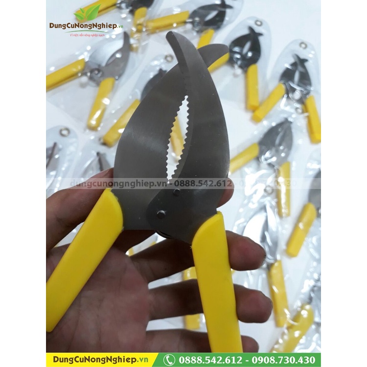 Dao chiết cây, khoanh vỏ lưỡi răng cưa