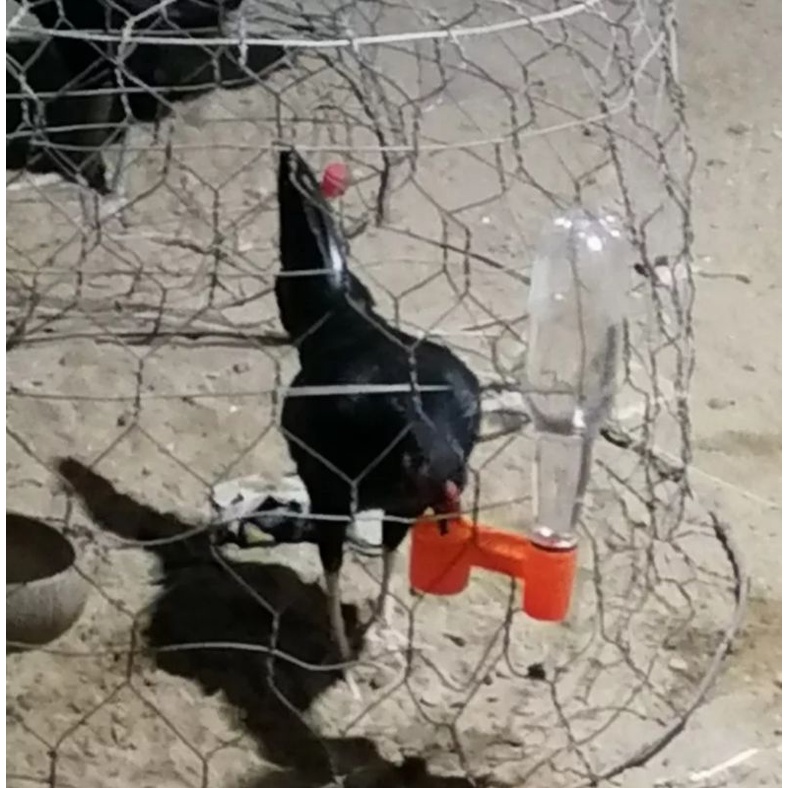 10 cái máng uống cho gà , vịt , chim loại gắn chai