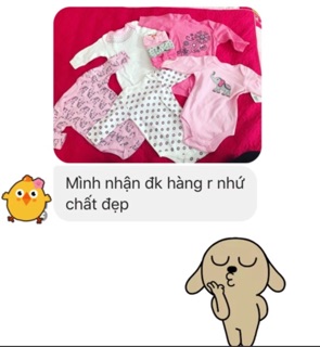 set Body cotton bé gái (0-3 tháng)