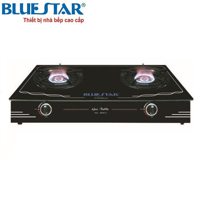 Bếp gas BLUESTAR NG-6980I