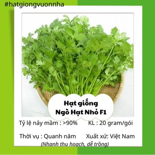 Hạt giống ngò hạt nhỏ f1- gói 20gram