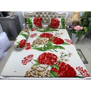 Bộ Drap Thun Hàn Quốc mát lạnh 4 món