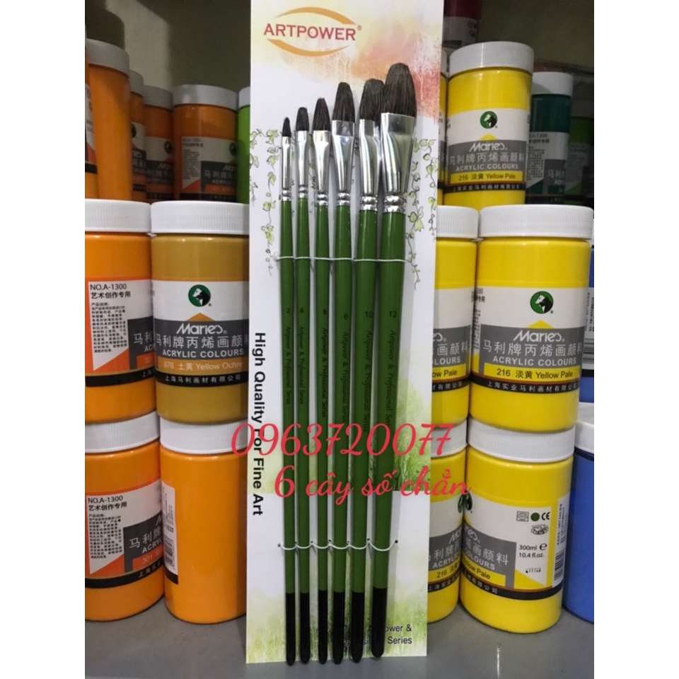 Cọ xanh lông chồn Bộ 6 cây ( thích hợp vẽ acrylic, mầu nước...