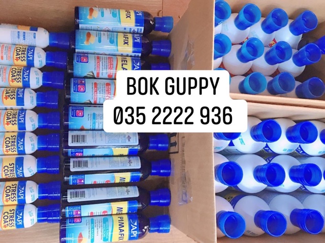 API STress Coat+ | Thần dược cá cảnh STRESSCOAT Khử Độc Nước - Giảm Stress - CHỐNG SỐC NƯỚC - Giúp CÁ KHỎE