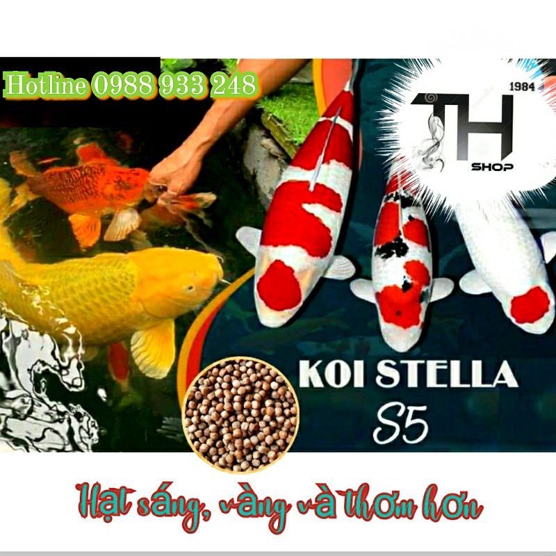 Cám cá Koi STELLA S1 S3 S5 S7 || Combo 2Kg