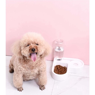 [ Mua 1 được 2 ] BÁT ĂN - BÌNH NƯỚC  TỰ ĐỘNG CHO CHÓ MÈO - NHÀ CỦA SẦU RIÊNG
