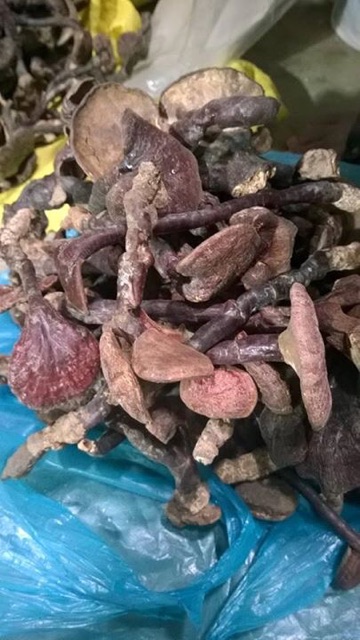 Nấm lim xanh ( Loại Trung; đvt:1kg)