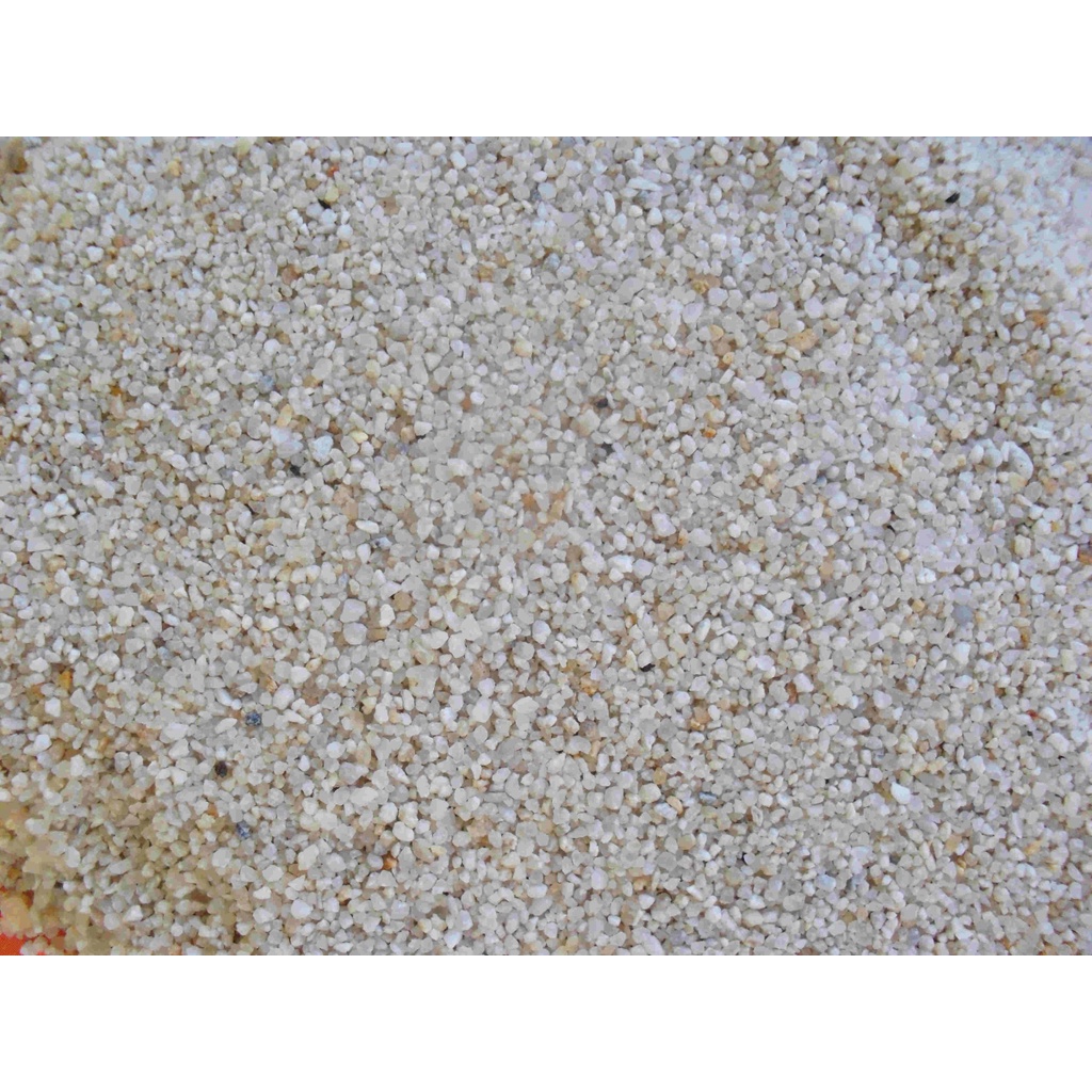 SỎI TRẮNG TRÃI NỀN HỒ THỦY SINH 2kg