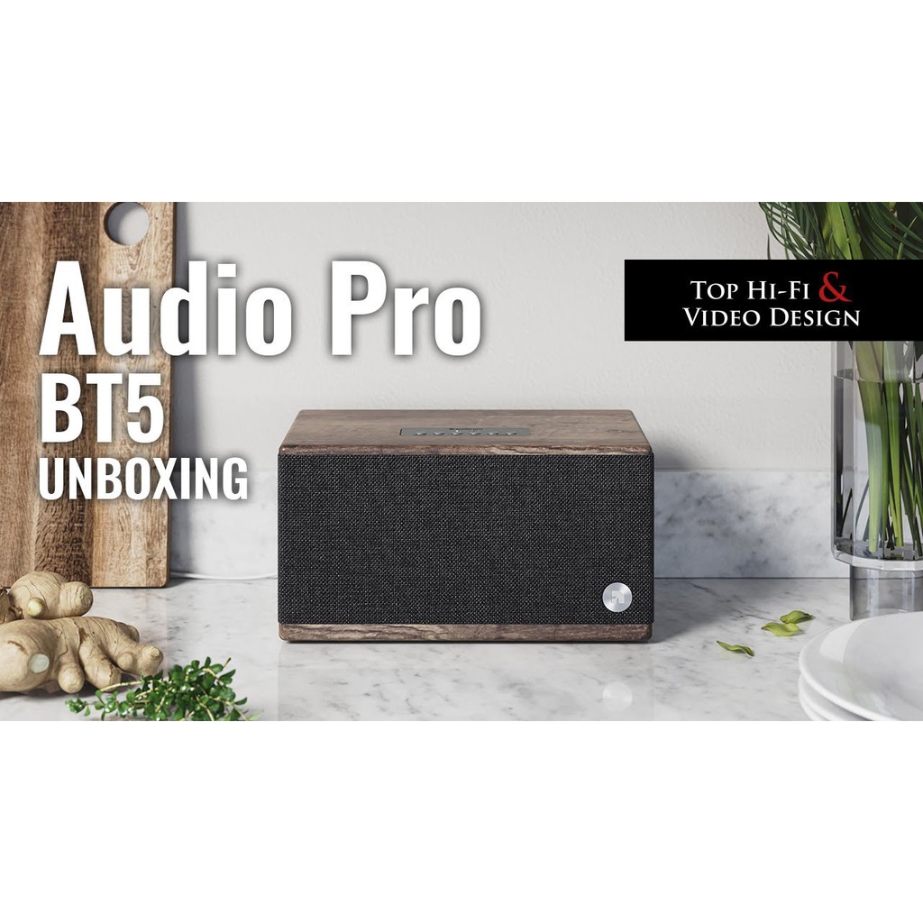 Loa Bluetooth Audio Pro APO BT5 Chính hãng