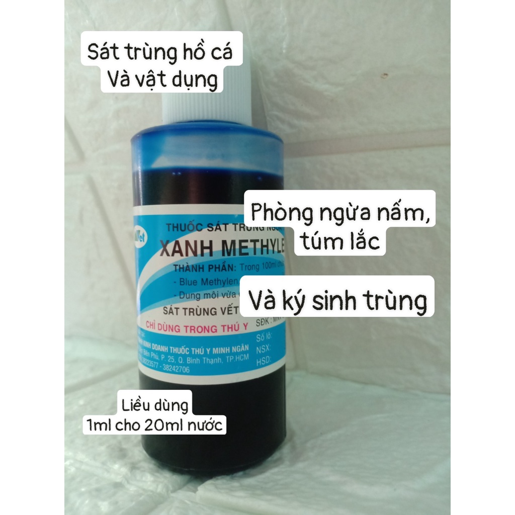 Xanh Methylen - Chăm sóc cá cảnh