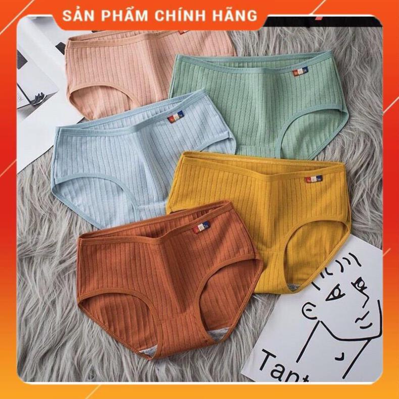Quần Lót Cotton Pháp Sợi Tre Màng Kháng Khuẩn 225