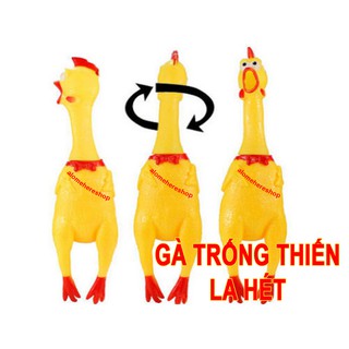 Gà trống thét shriling chicken 40cm