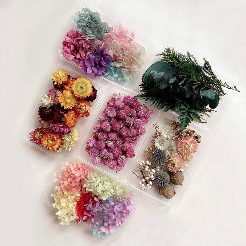Hoa khô handmade theo từng loại