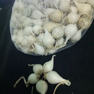 (TRỢ_GIÁ)1kG TỎI CÔ ĐƠN LÝ SƠN