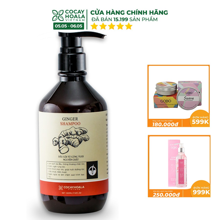 Dầu Gội Gừng Cocayhoala giảm rụng tóc, kích thích tóc mọc hiệu quả dung tích 500ml/chai