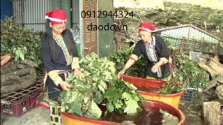 Nước tắm Dao đỏ can 2 lít