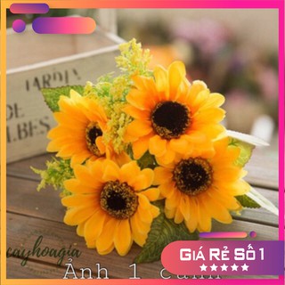 Chùm hoa hướng dương Mã sp107