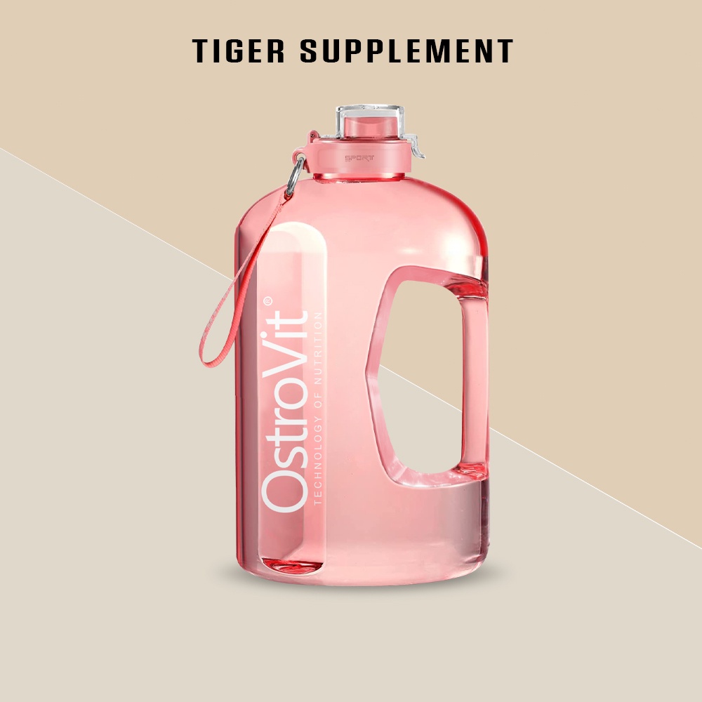 Shaker Các Hãng Ostrovit, Bpi, MusclePhram, MuscleTech, Bulk Powder Bình Nước Lắc Whey, Bcaa, Pre workout