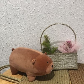 Gấu Bông Đồ Chơi We Are Bear Cho Bé