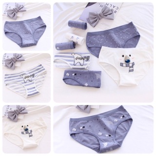 Combo 4 quần chip cotton