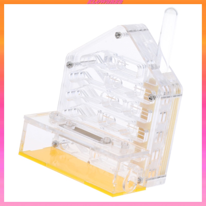 Hộp Nuôi Kiến Bằng Acrylic Trong Suốt Cho Nông Trại