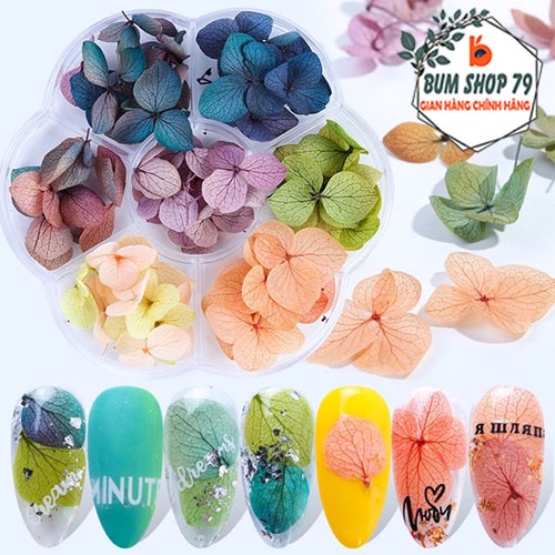 Hoa khô trang trí móng làm nail cực đẹp, Phụ kiện móng làm nail hoa khô lụa chuyên ẩn móng - Hoa Nhỏ