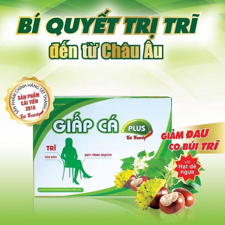 ✔️️️ Viên Giấp Cá Plus Tất Thành New – Giúp nhuận tràng, giảm trĩ nội trĩ ngoại, co búi trĩ, tăng sức bền thành mạch