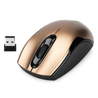Chuột không dây Newmen F266 - Hàng chính hãng