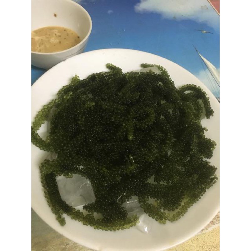 1kg chia 10 bịch rong nho tách nước thượng hạng đạt tiêu chuẩn xuất khẩu