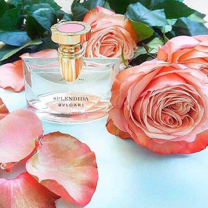 Auth - Nước hoa BLVGARI - BVL Splendida Rose Rose EDP 100ml