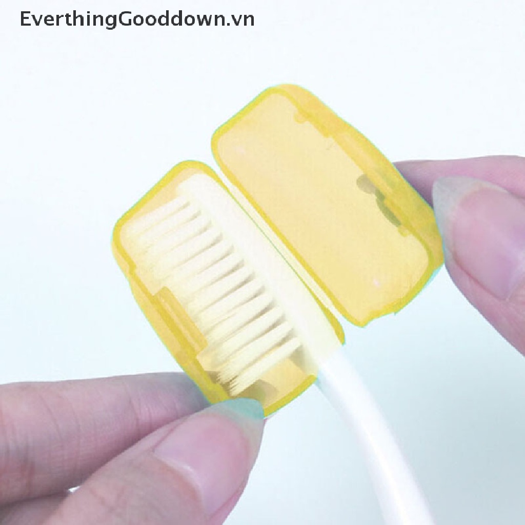 Everthinggooddown 1 Giá Đỡ Bàn Chải Đánh Răng Cầm Tay YKS Chống Nhiễm Trùng