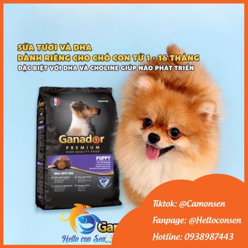 [QUẬN 2 SHIP NOW] THỨC ĂN CHO CHÓ CON Ganador Puppy Vị Sữa và Dha Gói 3Kg kèm men vi sinh BIOLINE MBR9