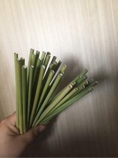 Combo 300 ống hút cỏ bàng khô