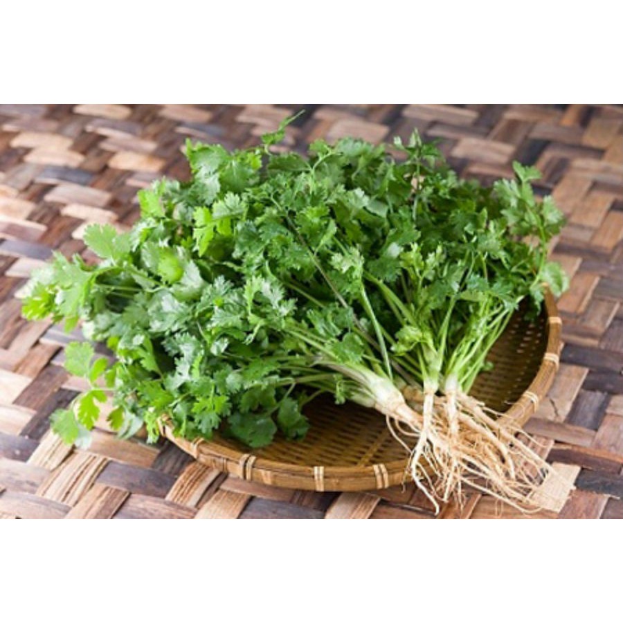 Hạt giống mùi tía túi 50 g