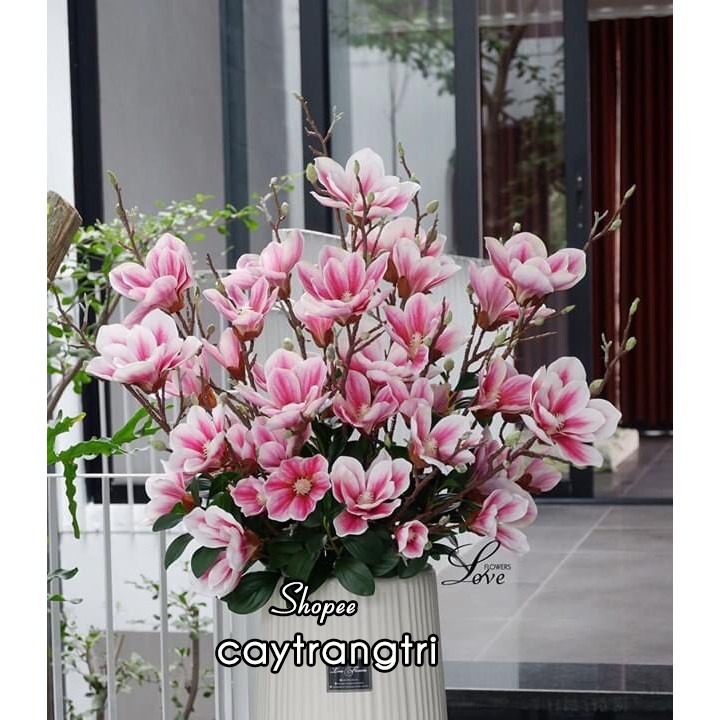 🌸 Cành hoa mộc lan cao su 5 bông dài 80cm - HÀNG CAO CẤP