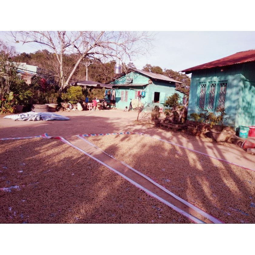 Cà phê sạch, nguyên chất, Bourbon coffee 500g | BigBuy360 - bigbuy360.vn