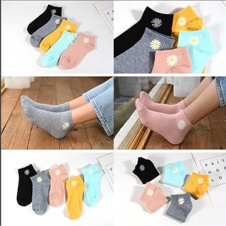 set 10 đoi Tất vớ hoa cúc hot trend cho nữ