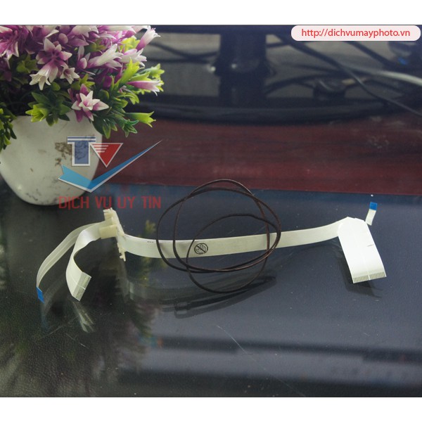 Bộ cáp đầu in và dây curoa máy in màu Epson L300 L310 L110