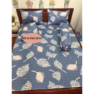 Bộ Drap Cotton THẮNG LỢI {chuẩn logo cty}