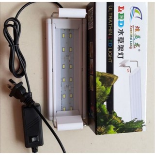 Đèn Led cho hồ cá