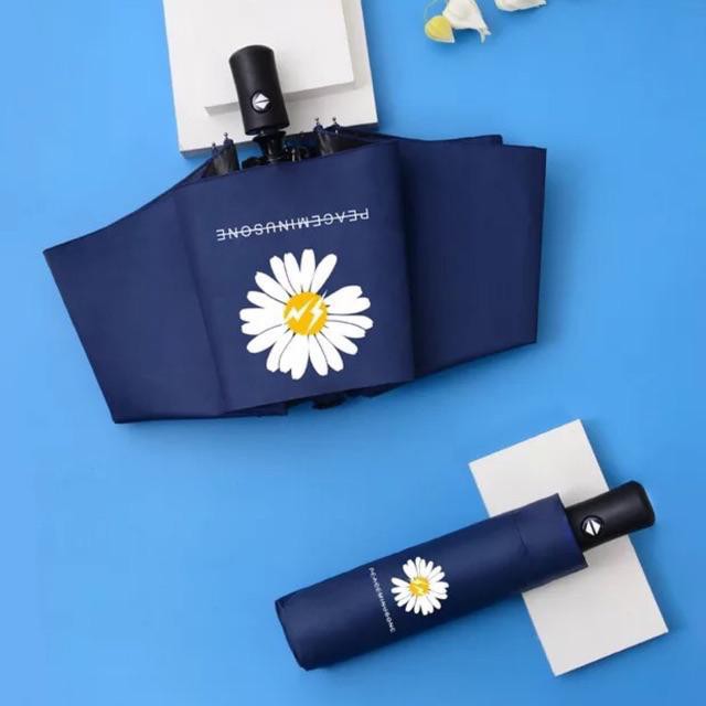 sp197 Ô Hoa Cúc Gấp Gọn