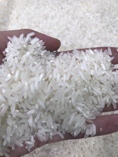 Gạo Horeca
