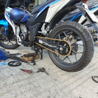 NSD RECTO (Sên recto vàng)